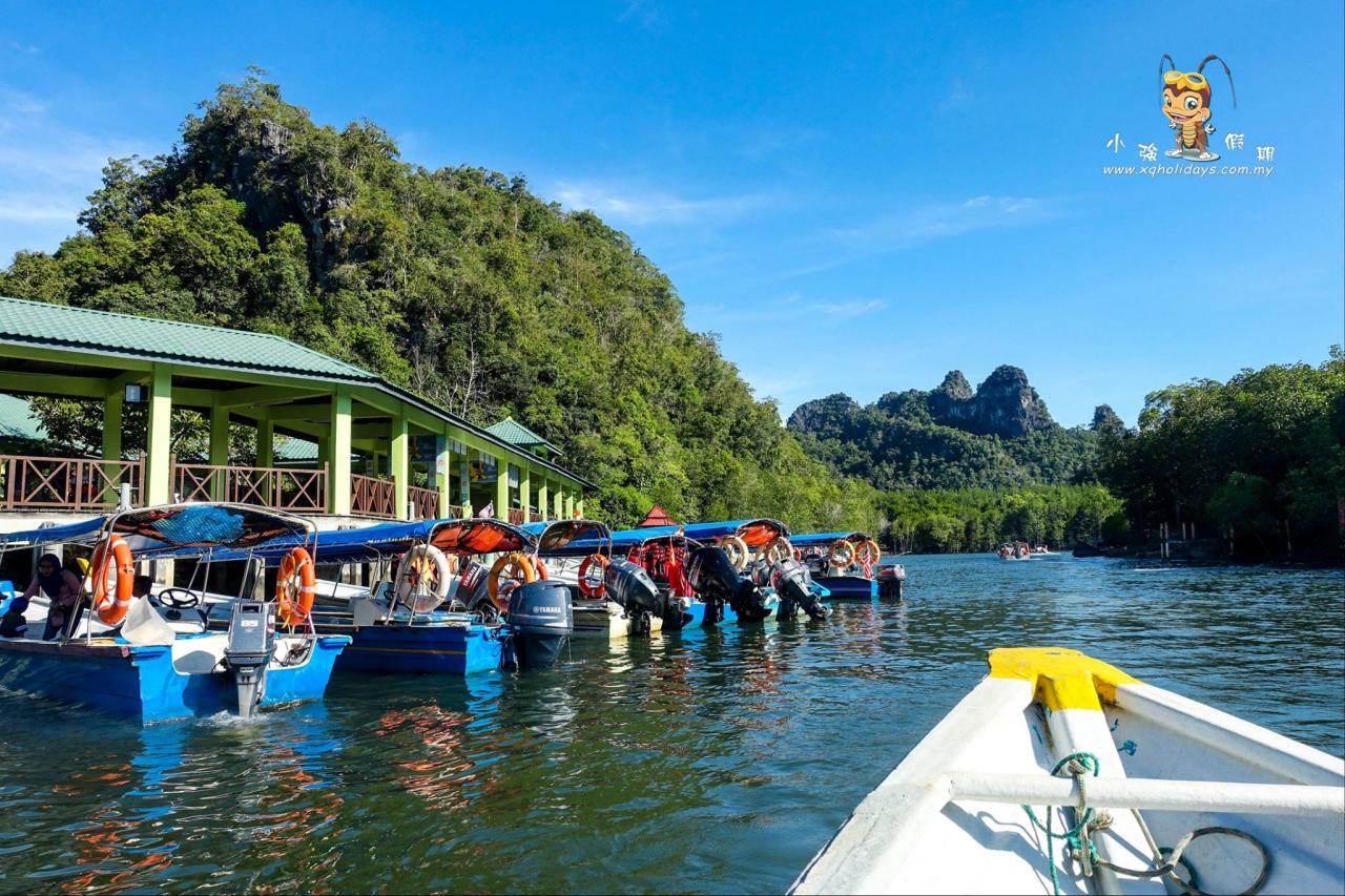 Jelajahi Ekosistem Pesisir yang Memesona: Mangrove Tour Langkawi