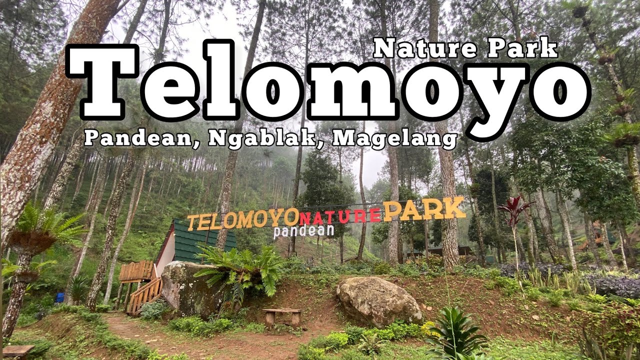 Telomoyo Nature Park: Pesona Alam dan Aktivitas Menarik di Lereng Merapi